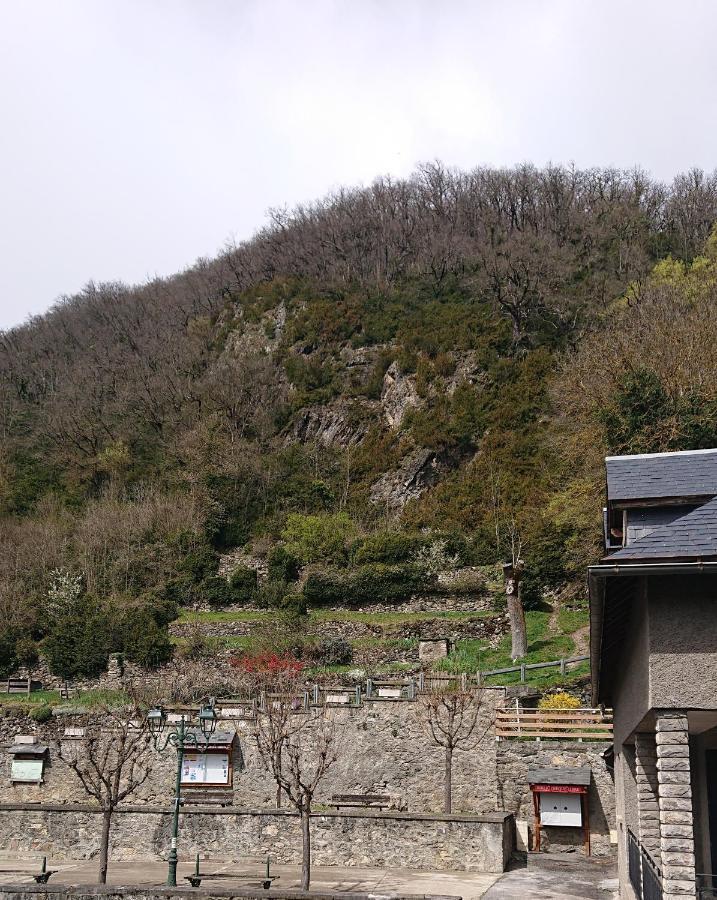Appartement Dans Ancienne Maison Pyreneenne. Cadéac エクステリア 写真