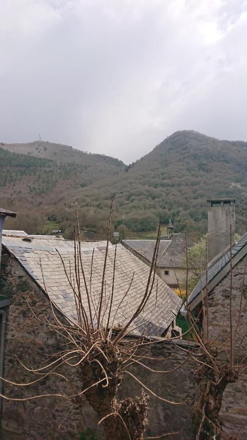 Appartement Dans Ancienne Maison Pyreneenne. Cadéac エクステリア 写真